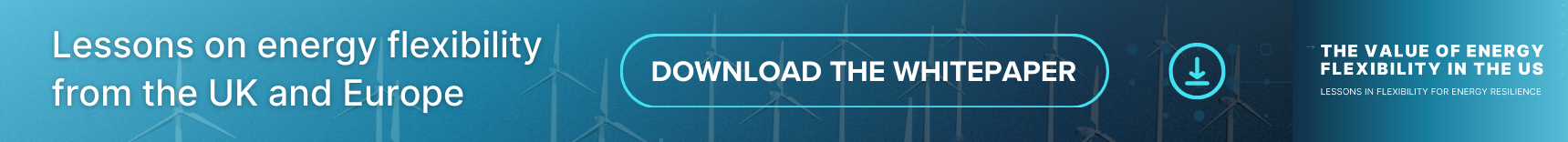 Link through to a whitepaper on unlocking the value of flexibility through markets in the US