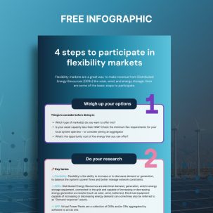 Infographic on how to participate in flex markets